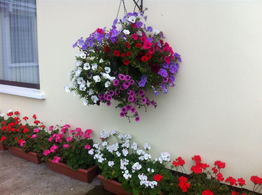Apartmán Hillview Self Catering Lusk Exteriér fotografie