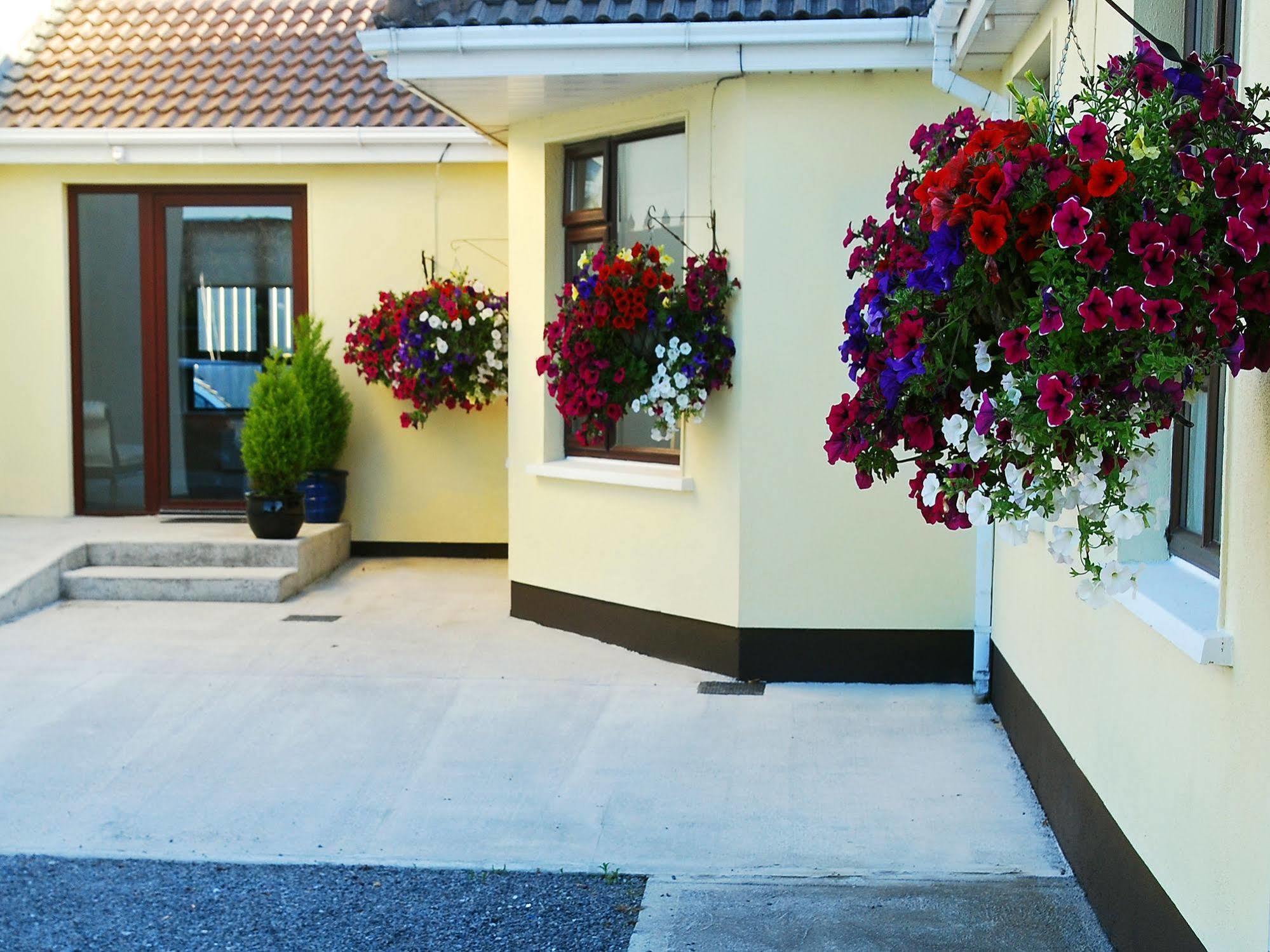 Apartmán Hillview Self Catering Lusk Exteriér fotografie
